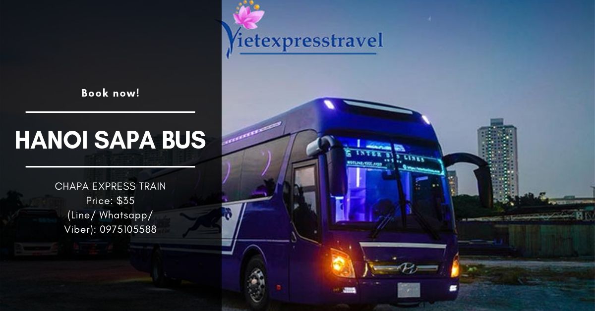INTER BUS VALENTINE - Hanoi to sapa bus