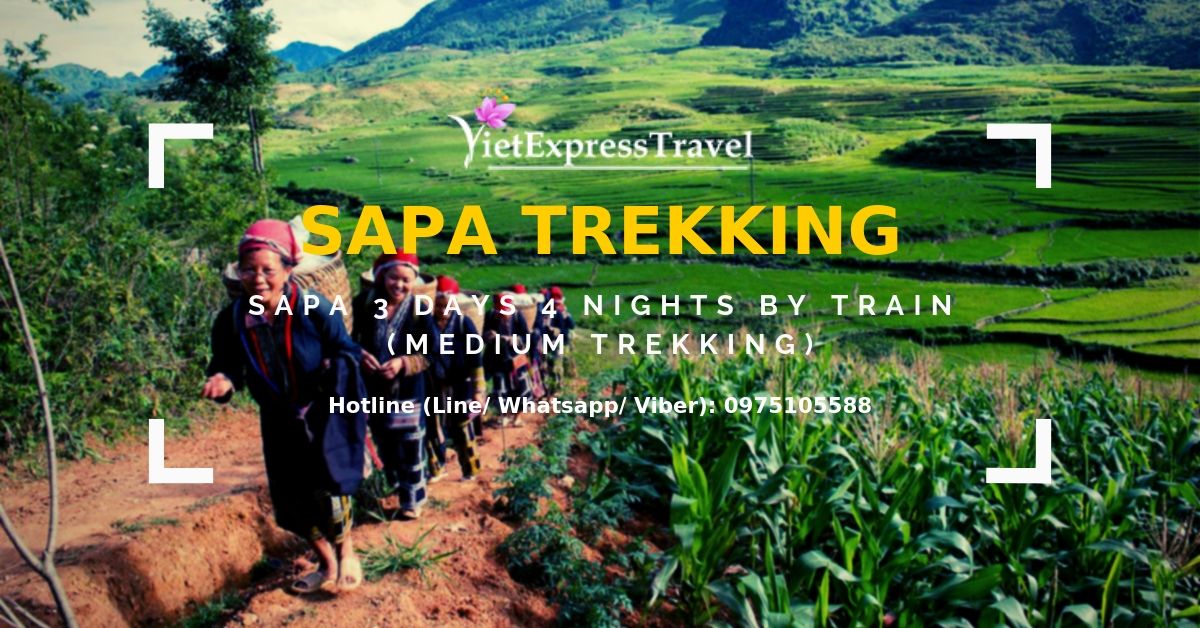 SAPA 3 DAYS 4 NIGHTS BY TRAIN (MEDIUM TREKKING)