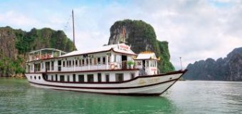 (English) COZY BAY CRUISE – DELUXE DAY TRIP