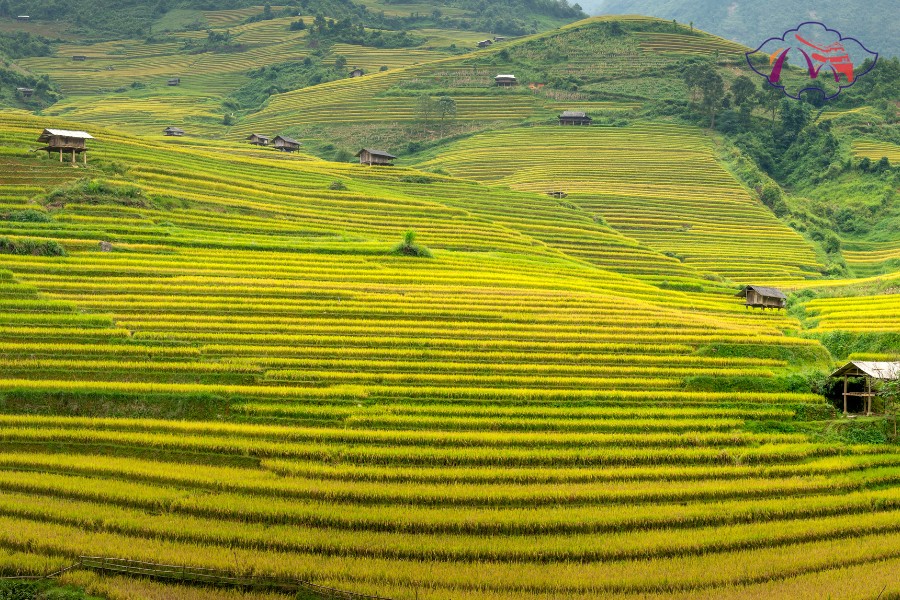 Important Travel Tips for the Hue to Sapa Journey