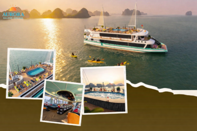 ChatGPT Image 16 45 09 4 thg 3 2026